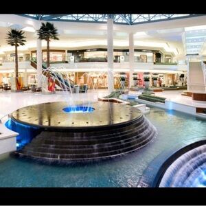 💫 Auction/Live Flyer 💫